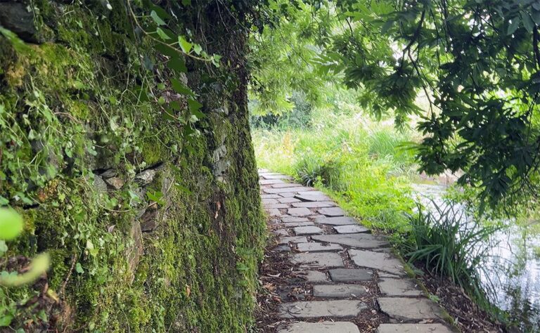 サンティアゴ・デ・コンポステーラに25日間住んでみた（21、22日目）