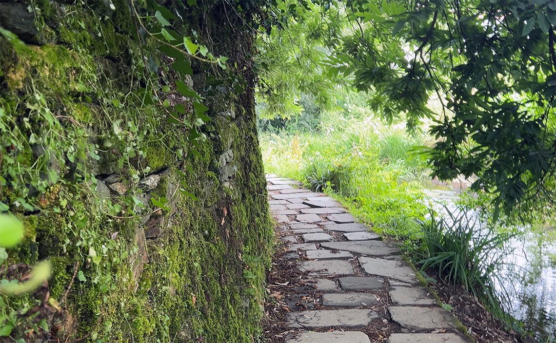 サンティアゴ・デ・コンポステーラ(Santiago de Compostela)苔