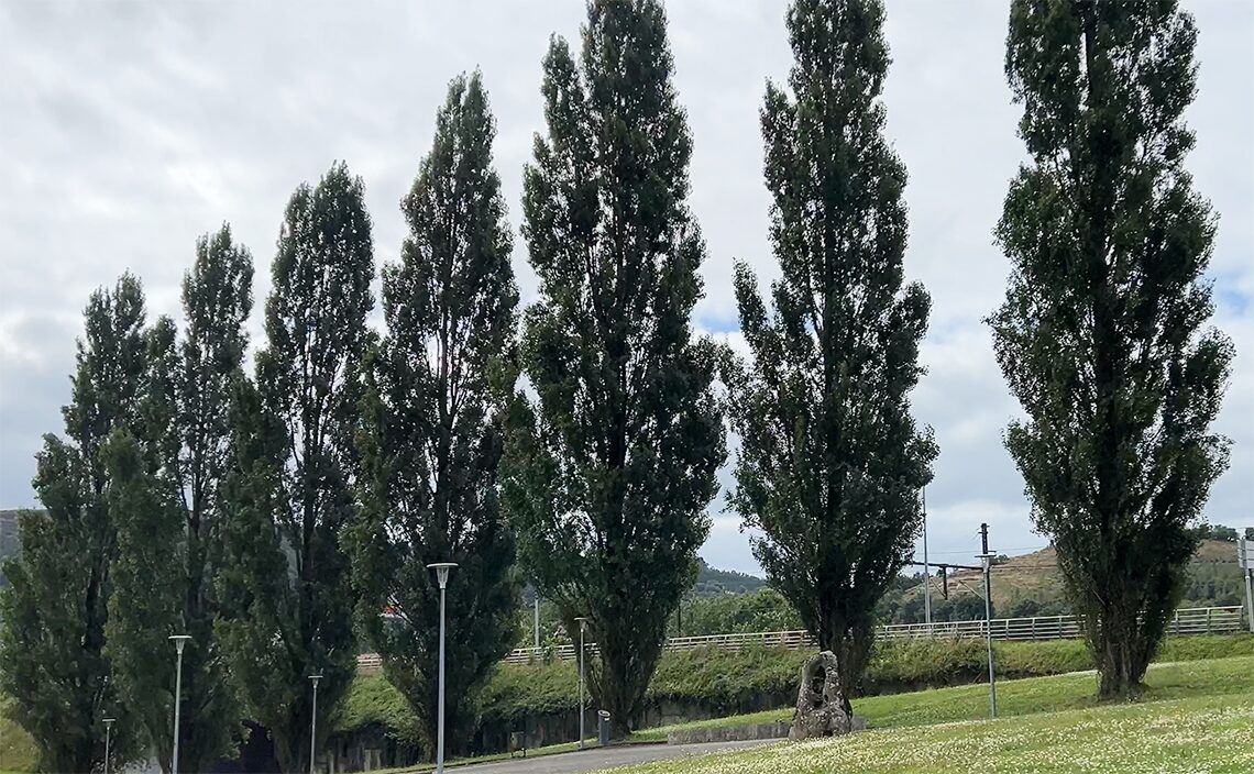 サンティアゴ・デ・コンポステーラ(Santiago de Compostela)