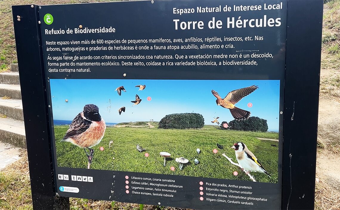 ア・コルーニャ（A Coruña）のトーレ・デ・ヘルクレス公園（Parque de la Torre de Hércules）