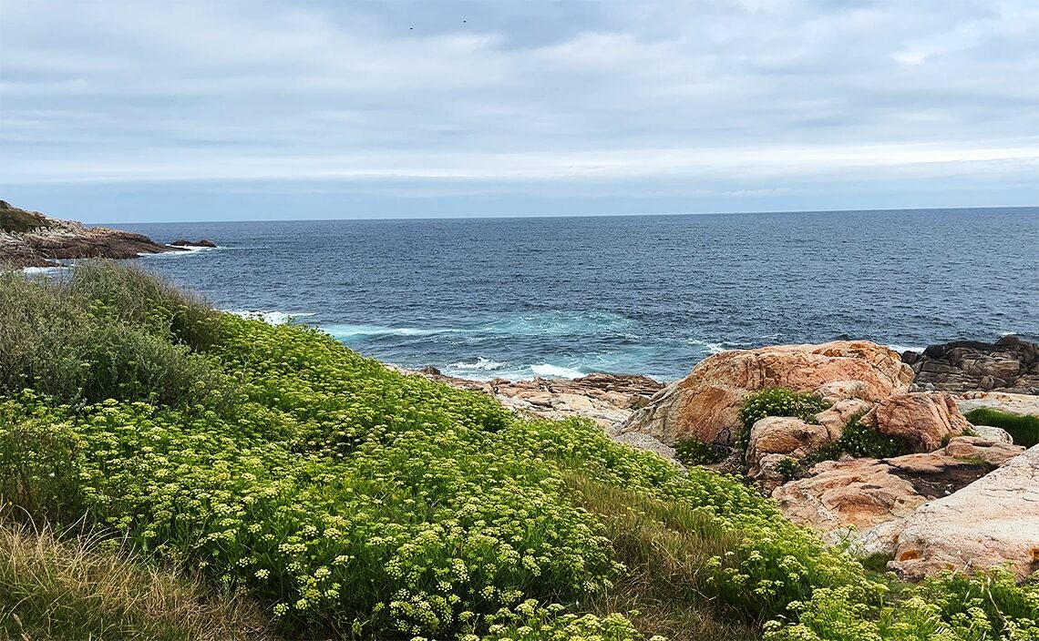 ア・コルーニャ（A Coruña）のトーレ・デ・ヘルクレス公園（Parque de la Torre de Hércules）