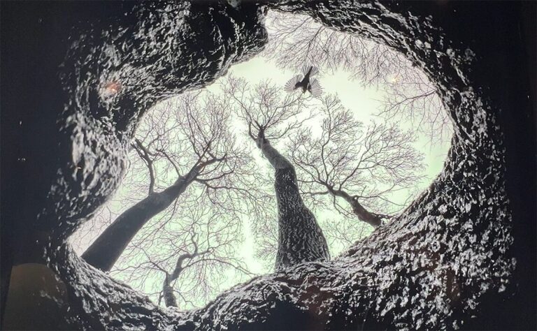 ア・コルーニャへ行ってみた