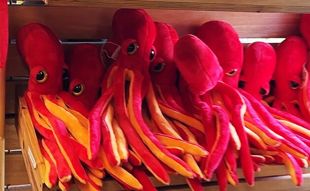 ア・コルーニャ（A Coruña）　フィニステレ水族館（Aquarium Finisterrae）グッズショップ　蛸