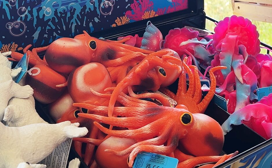 ア・コルーニャ（A Coruña）　フィニステレ水族館（Aquarium Finisterrae）グッズショップ　タコ