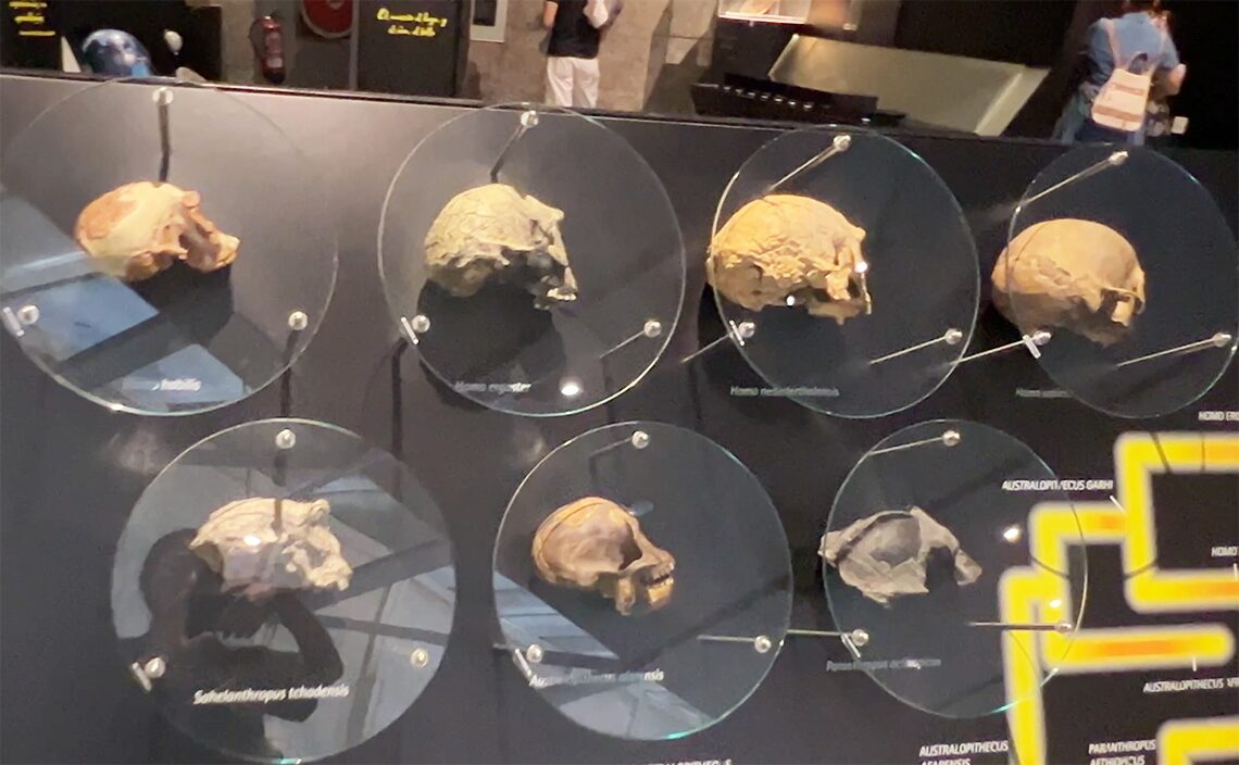 ア・コルーニャ（A Coruña）　「ア・コルーニャ人間科学館」（ドムス、Domus）