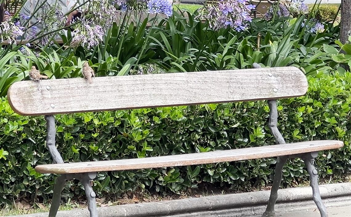 ア・コルーニャ（A Coruña）ハルディネス・デ・メンデス・ヌーニェス公園のベンチ