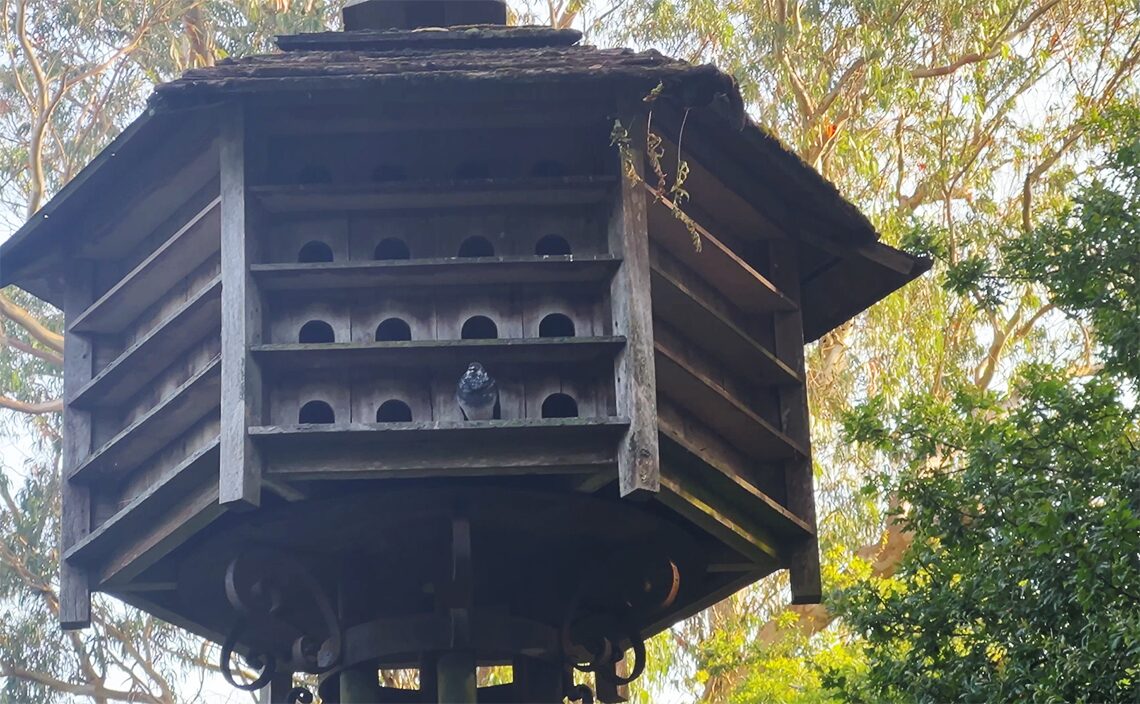 サンティアゴ・デ・コンポステーラ(Santiago de Compostela)集合住宅のような形をした、とてもユニークなデザインの巣箱