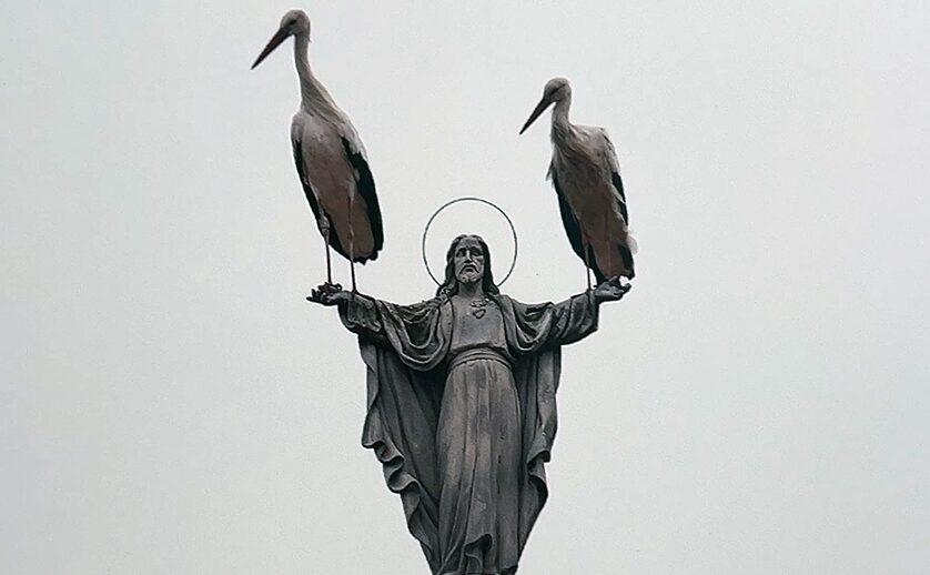 サンティアゴ・デ・コンポステーラ(Santiago de Compostela)の自然史博物館・USC ~ Museo de Historia Natural