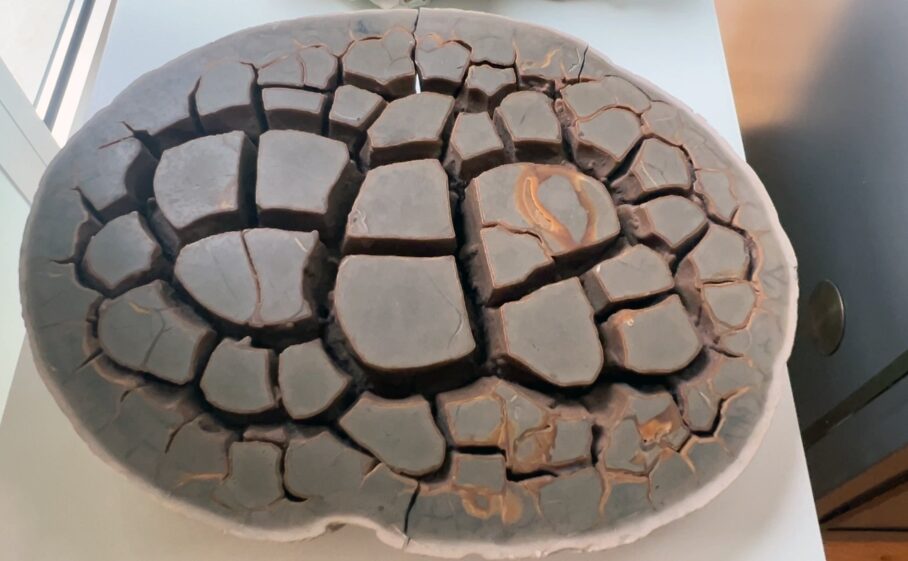 サンティアゴ・デ・コンポステーラ(Santiago de Compostela)の自然史博物館・USC ~ Museo de Historia Natural セプタリア