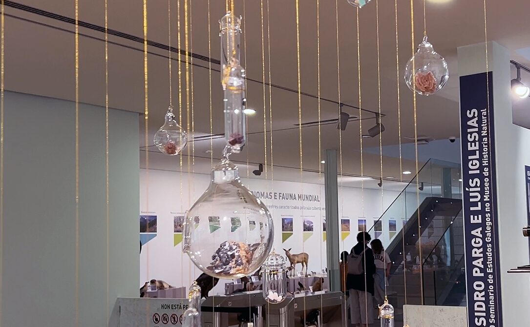 サンティアゴ・デ・コンポステーラ(Santiago de Compostela)の自然史博物館・USC ~ Museo de Historia Natural