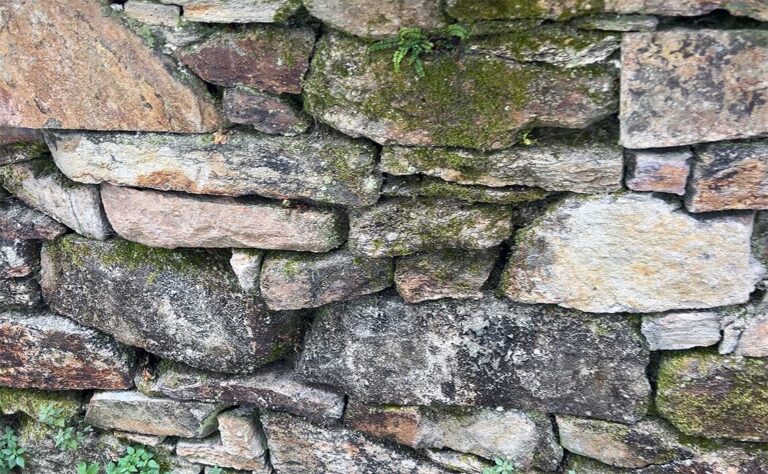 サンティアゴ・デ・コンポステーラに25日間住んでみた（3日目）その2