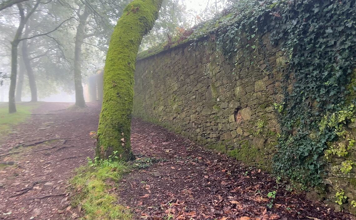 サンティアゴ・デ・コンポステーラ(Santiago de Compostela)