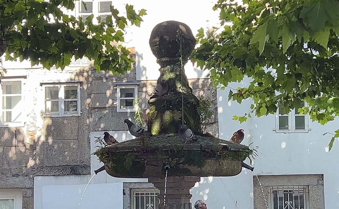 サンティアゴ・デ・コンポステーラ(Santiago de Compostela)鳩が良く似合う噴水