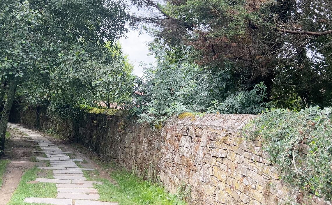 サンティアゴ・デ・コンポステーラ(Santiago de Compostela)ブラニャス・ド・リオ・サル公園(Parque Brañas do río Sar)
