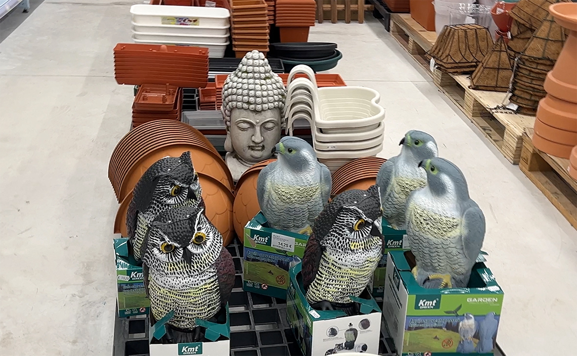 オビエド  oviedo ブーレブー（Bulebú）