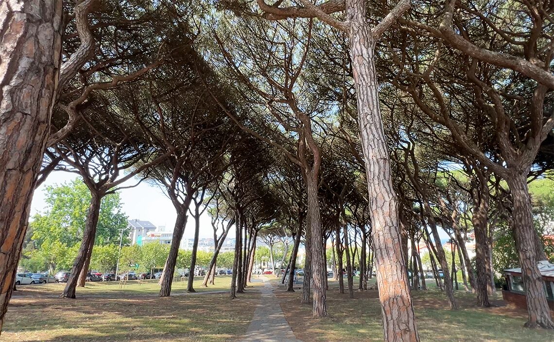 サンタンデール Santander