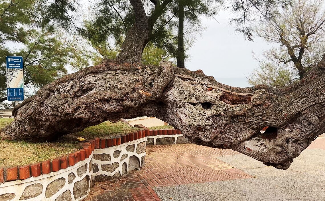 サンタンデール Santander　ピキオ庭園（Jardines de Piquío）