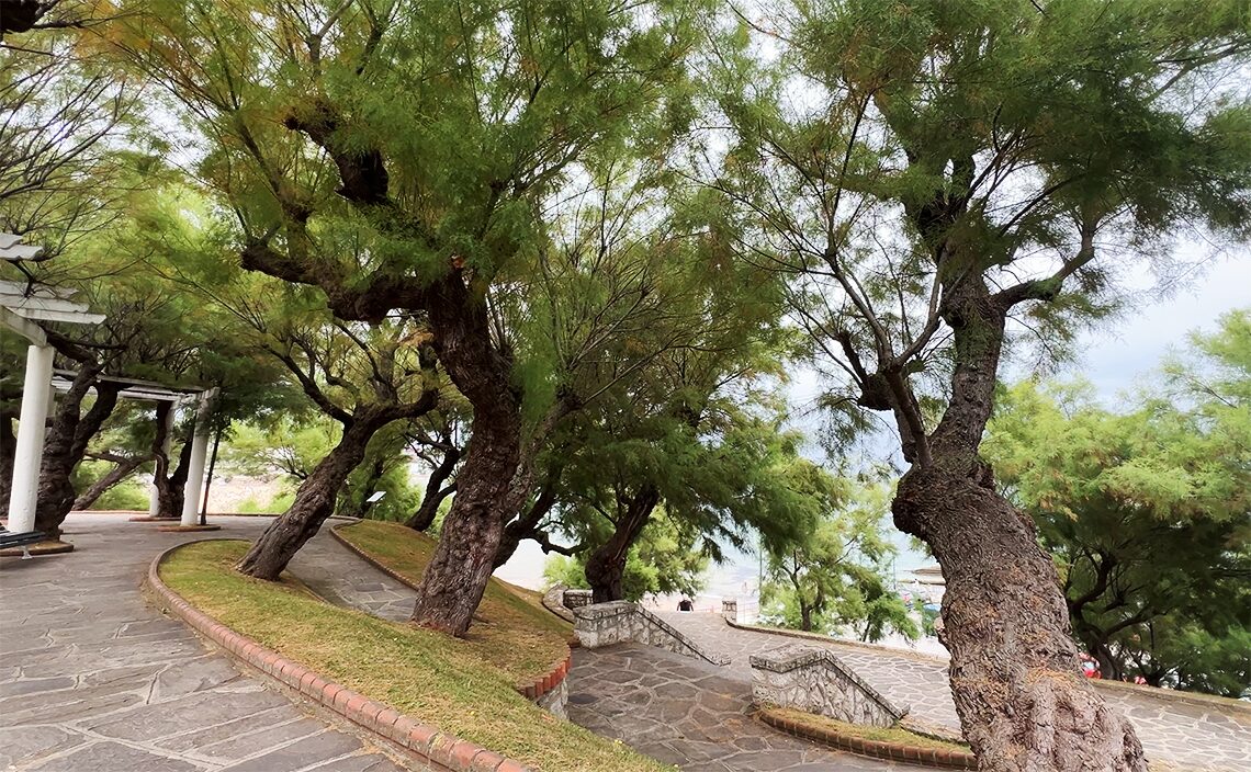 サンタンデール Santander　ピキオ庭園（Jardines de Piquío）