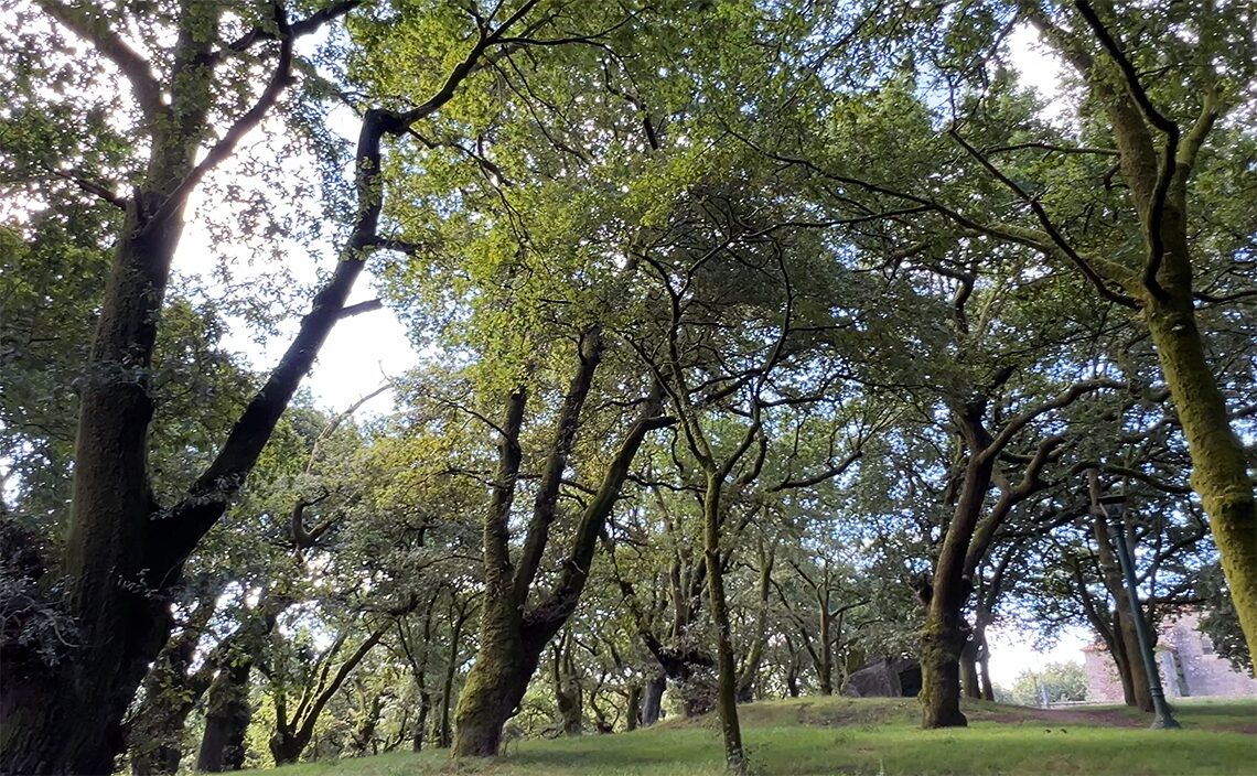 サンティアゴ・デ・コンポステーラ Santiago de Compostela アラメダ公園(Parque de la Alameda)