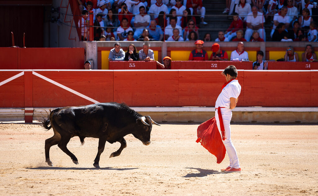 ナバーラ州 パンプローナの牛追い祭り