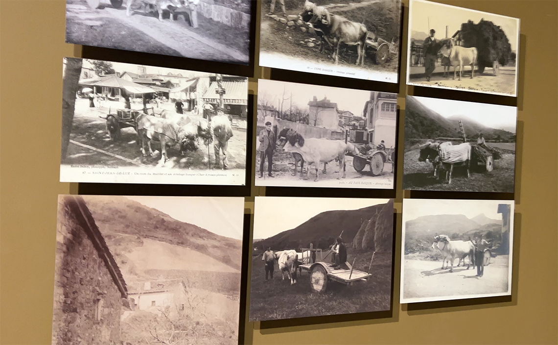 バスク人は、ピレネー山脈の西側でローマ時代以前から定住していた民族の子孫で、山脈周辺に定住していた「先住ヨーロッパ人」の末裔という説もある。