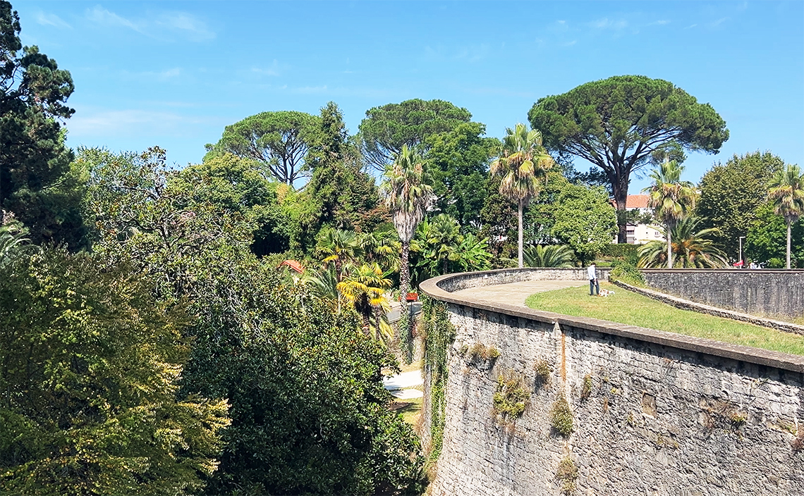 バイヨンヌ植物園(Jardin Botanique de Bayonne)。
旧市街を囲む歴史的な城壁(ランパート)の上という珍しい場所に造られている。