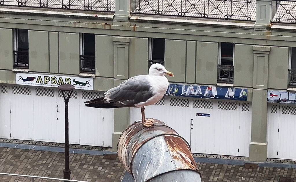 サンセバスチャン (スペイン) – San Sebastián(Spain)サンセバスチャン水族館(Aquarium)