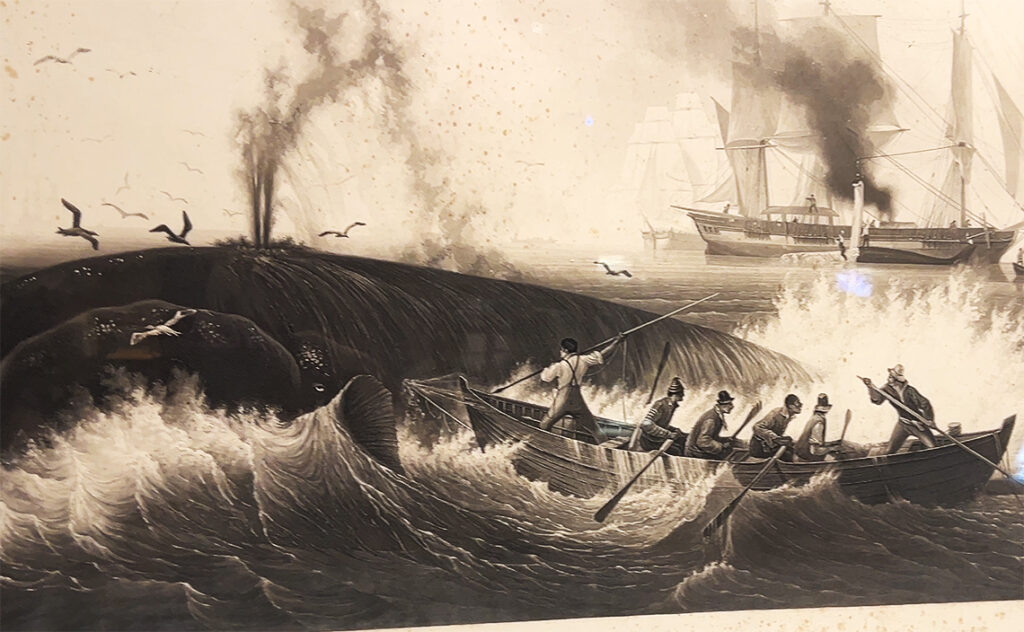 サンセバスチャン (スペイン) – San Sebastián(Spain)サンセバスチャン水族館(Aquarium)