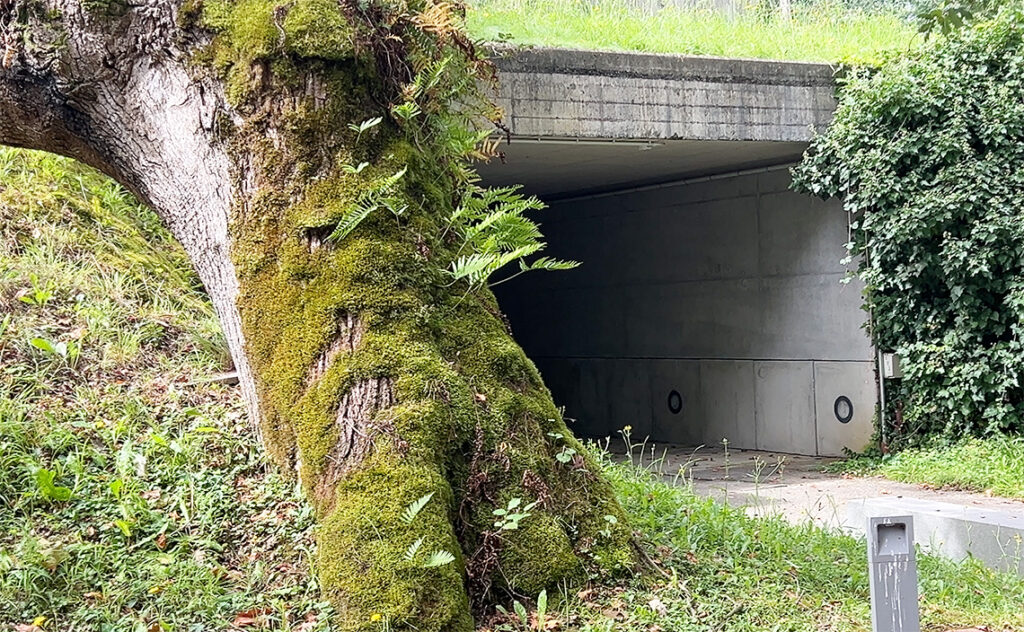 サンセバスチャン (スペイン) – San Sebastián(Spain)チリダ・レク美術館(Chillida-Leku)
