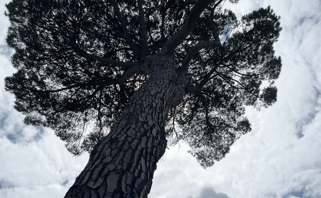 サンセバスチャン (スペイン) – San Sebastián(Spain)チリダ・レク美術館(Chillida-Leku)