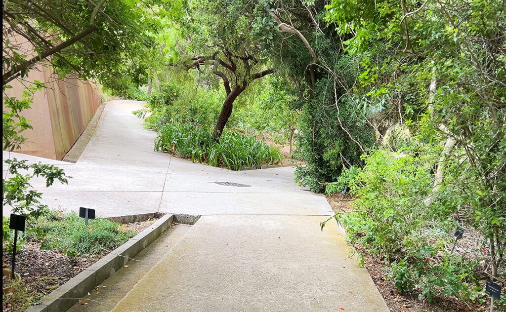 バルセロナ Barcelona Botanical Garden　園内の高低差を活かした遊歩道の分岐点。　