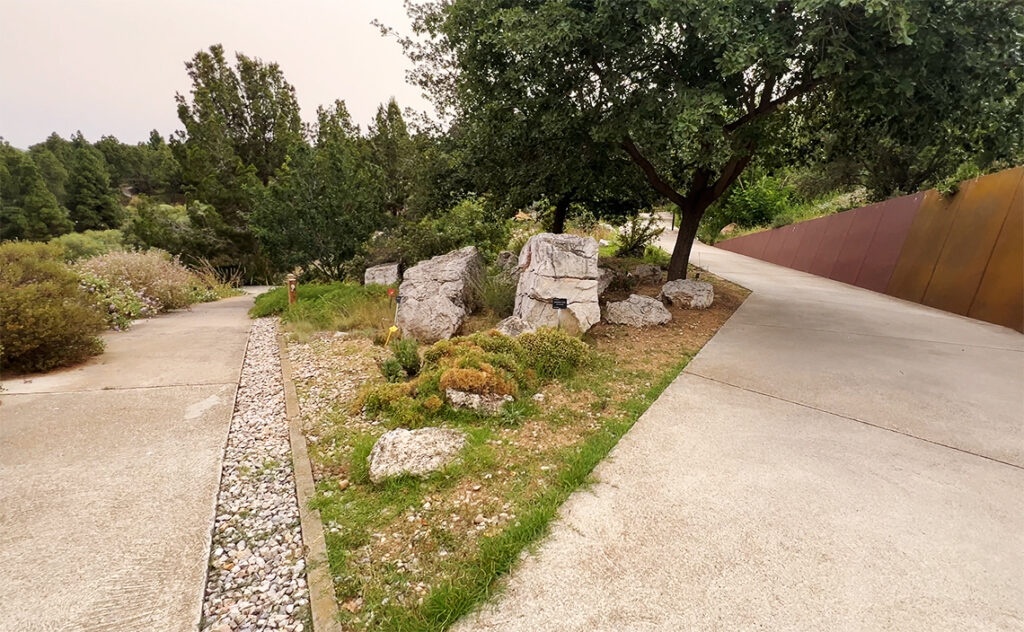 バルセロナ Barcelona Botanical Garden　遊歩道と岩石が配置されたエリア。