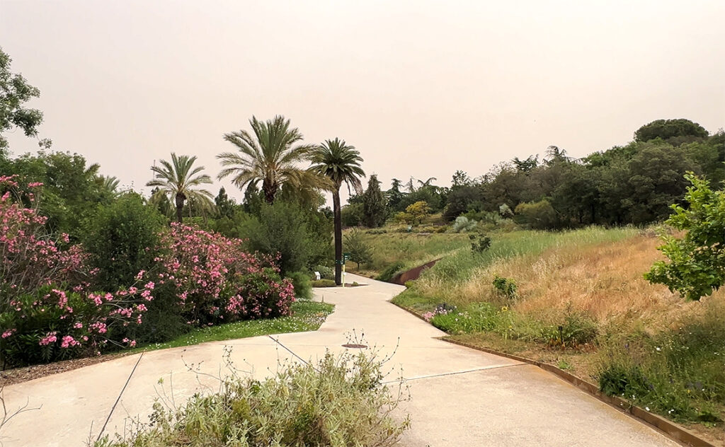 バルセロナ Barcelona Botanical Garden　現地の植生と景観デザインが一体となった、この植物園の標準的な風景のひとつ。