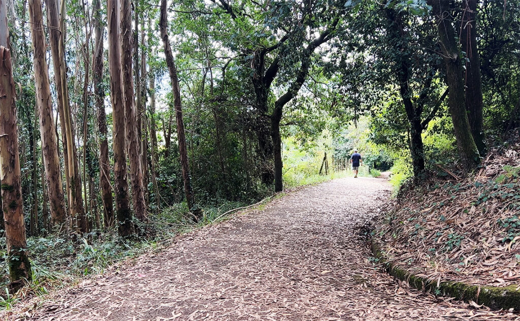 ビルバオ Bilbao Ekoetxea Urdaibai(エコエチェア・ウルダイバイ)