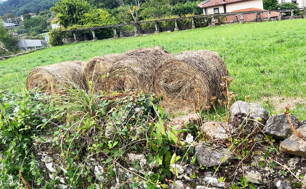 ビルバオ Bilbao Ekoetxea Urdaibai(エコエチェア・ウルダイバイ)