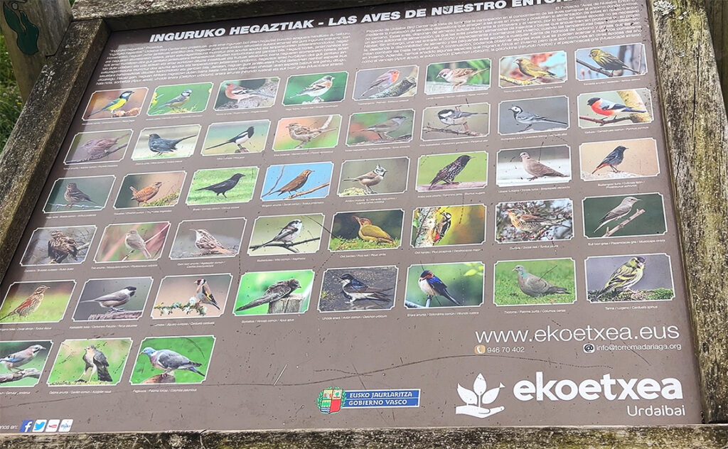 ビルバオ Bilbao Ekoetxea Urdaibai(エコエチェア・ウルダイバイ)