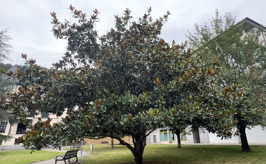 ビルバオ Bilbao ゲルニカ（Guernica）