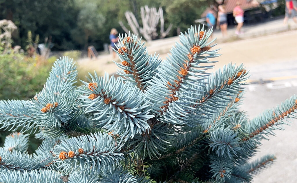 ビルバオ Bilbao サン・フアン・デ・ガステルガチェ（San Juan de Gaztelugatxe）　