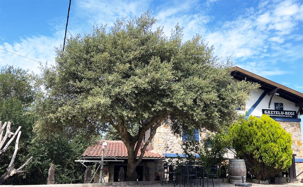 ビルバオ Bilbao サン・フアン・デ・ガステルガチェ（San Juan de Gaztelugatxe）　
