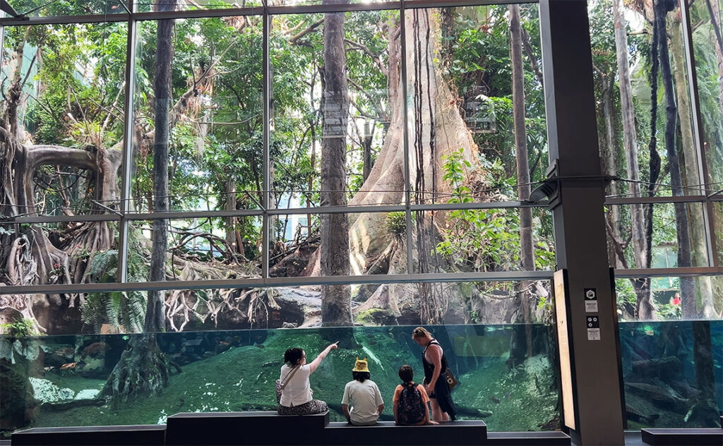 コスモ・カイシャ(CosmoCaixa バルセロナ科学博物館) コスモ・カイシャの目玉である「浸水した森(Flooded Forest)」と呼ばれる巨大な温室展示