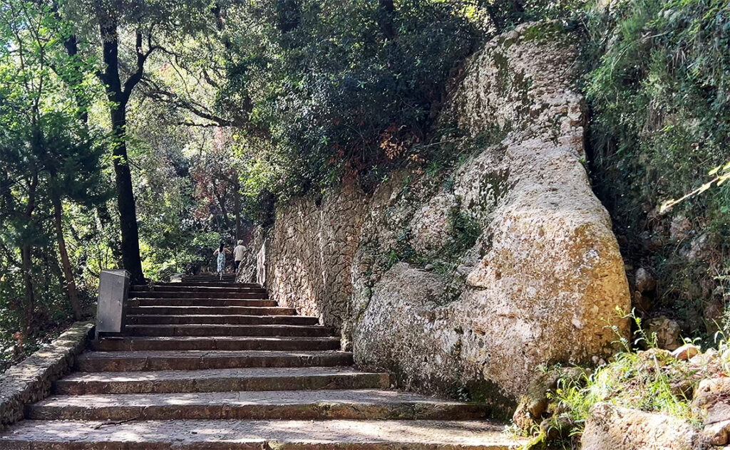 バルセロナ モンセラット(Montserrat)