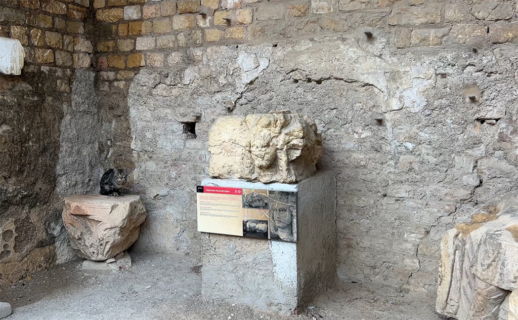 タラゴナ　Tarragona　フォールム・コロニアル（Fòrum de la Colònia）　かつての人々の生活拠点であった場所が、現在は地域の猫たちの居場所になっている。