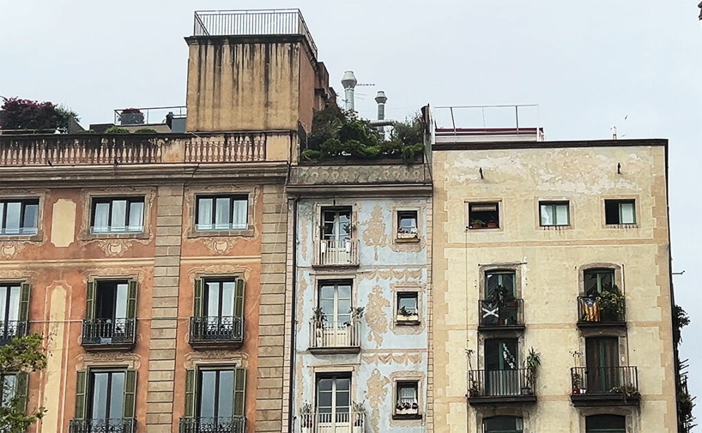 セルダが設計したのは、カオスの舞台だった