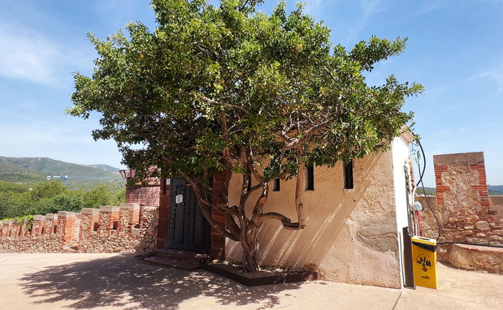 バルセロナ（Barcelona）カステルデフェルス城（Castell de Castelldefels）　中世の城郭建築と後世の生活空間が混在するエリア。