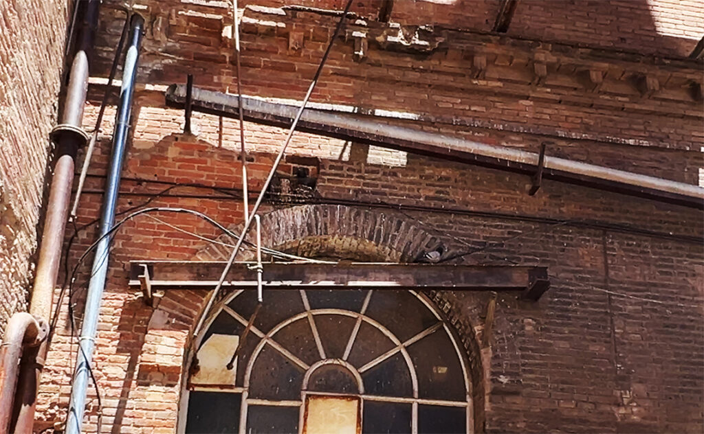 バルセロナ（Barcelona）ファブラ・イ・コーツ（Fabra i Coats）建物の改修や補強の過程で追加された鉄骨と古いレンガ壁が混在する箇所