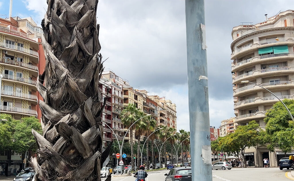 この街では壁すら自己主張する。